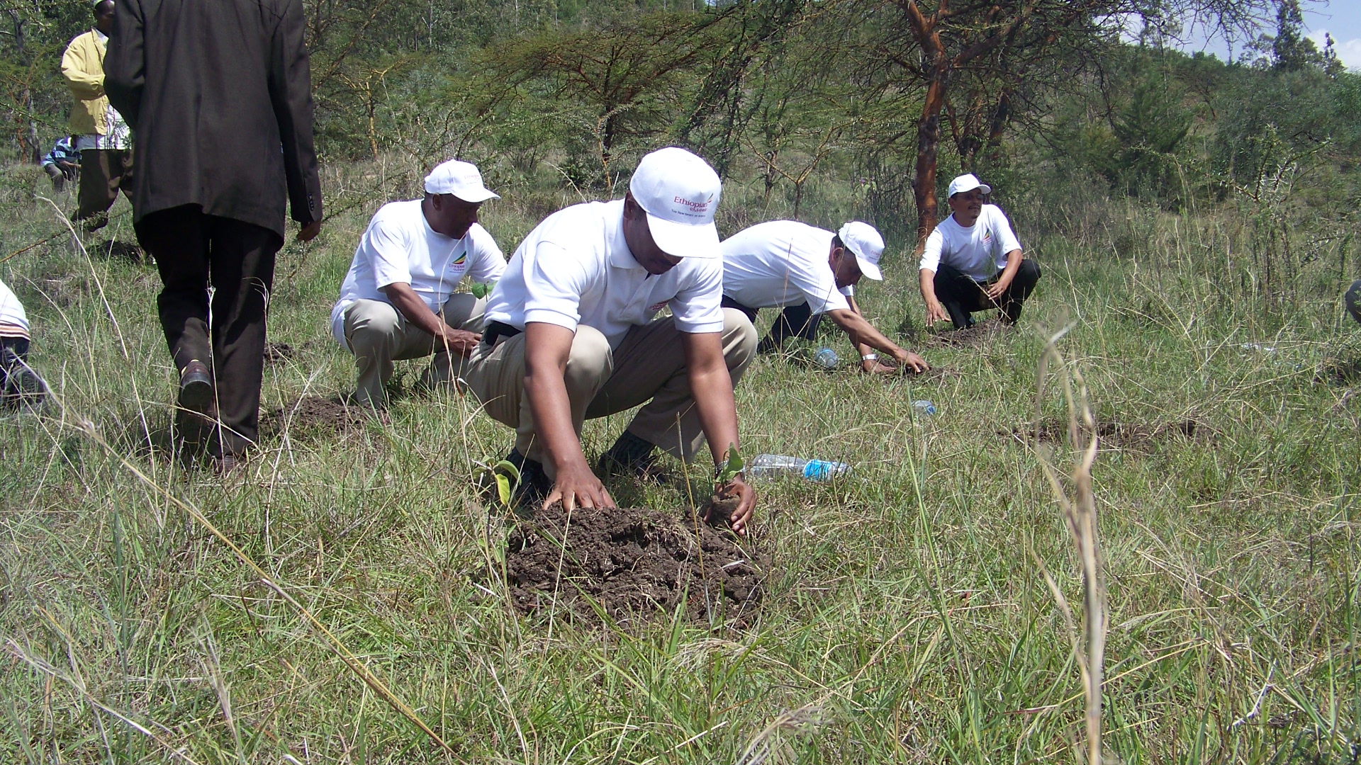 Community members planting native trees on restored hillside in Ethiopia